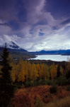 Fall on the Kenai Peninsula