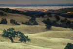 Sunrise in Grant Ranch Park