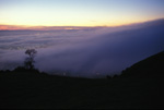 Fog Pouring in on Mission Peak