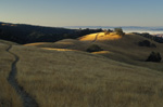 The Canada de Pala Trail in Grant Ranch Park