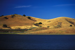 Late Afternoon in Calero Park