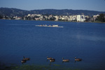 Practice on Oakland's Merritt Lake