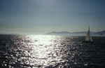Afternoon Sail from the Berkeley Marina