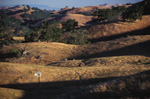 "Windmill in the Shadows, Grant Ranch Park"