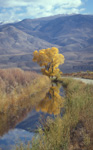 Reflections in the Owens Valley