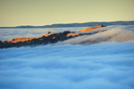 Fog Pours over Grant Ranch Park at Sunrise