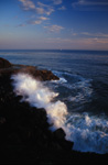 Santa Cruz Surf