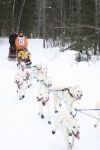 Camouflaged Iditarod Team