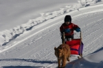 Junior Musher